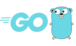 Featured image of post Go