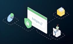 Featured image of post Certificate